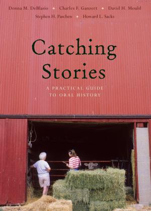 Book cover of Catching Stories