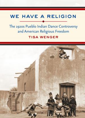 Cover of the book We Have a Religion by James E. Lewis
