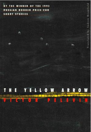 Cover of the book The Yellow Arrow by Fleur Jaeggy