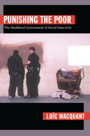 Book cover of Punishing the Poor
