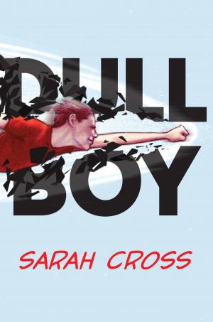 Cover of the book Dull Boy by Melissa J. Morgan