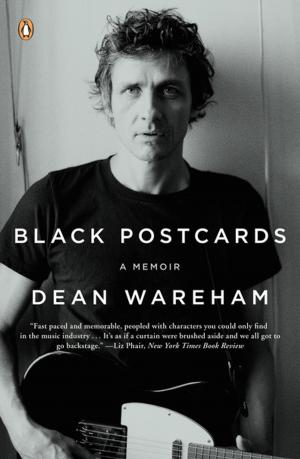 Cover of the book Black Postcards by David Servan-Schreiber, MD, PhD