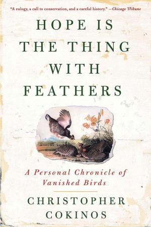 Cover of the book Hope Is the Thing With Feathers by Stacey Ballis