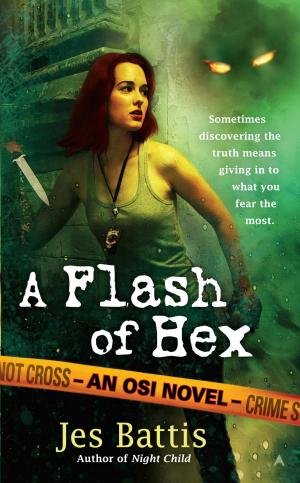 Cover of the book A Flash of Hex by Holly Rayner