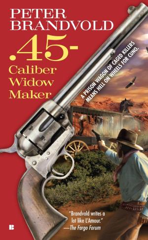 Cover of the book .45-Caliber Widow Maker by Madame B
