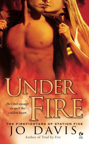 Cover of the book Under Fire by K.A. Berg
