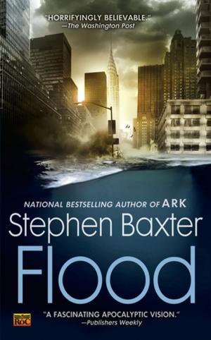 Cover of the book Flood by David Bishop