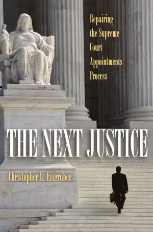 Cover of the book The Next Justice by Shane Hamilton