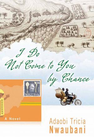 Cover of the book I Do Not Come to You by Chance by Ed Darack