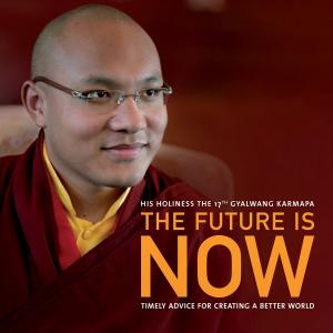 Cover of the book The Future Is Now by Bronnie Ware