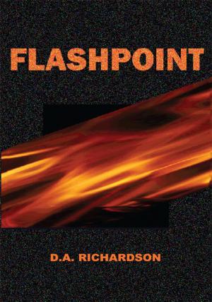 Cover of the book Flashpoint by Chance Hansen