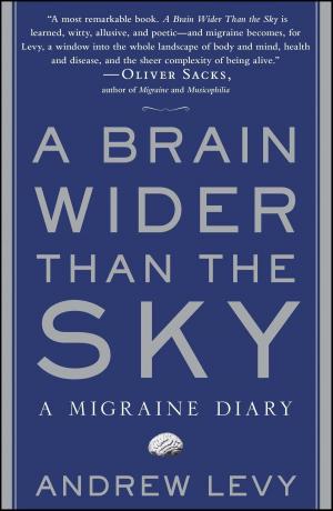 Cover of the book A Brain Wider Than the Sky by Andrew Bleiman, Chris Eastland