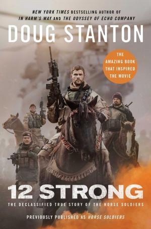 Cover of the book 12 Strong by Julian Stockwin