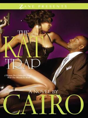 Cover of the book The Kat Trap by Nicole Bradshaw