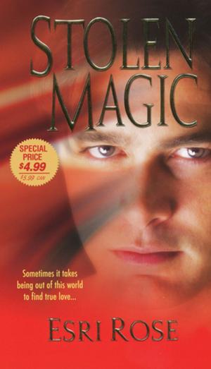 Cover of the book Stolen Magic by Ella Quinn