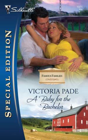 Cover of the book A Baby for the Bachelor by Stella Bagwell