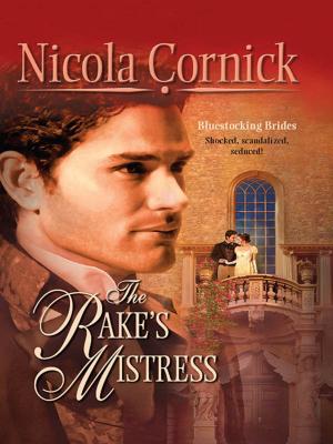 Book cover of The Rake's Mistress