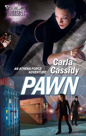 Cover of the book Pawn by Don Martinez