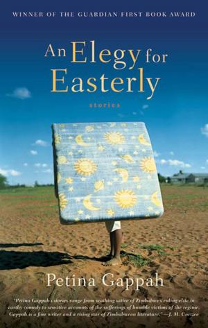 Cover of the book An Elegy for Easterly by Melanie Thernstrom