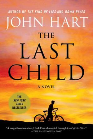 Book cover of The Last Child