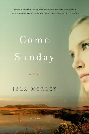 Cover of the book Come Sunday by Elie Wiesel