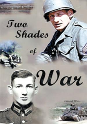 Book cover of Two Shades of War