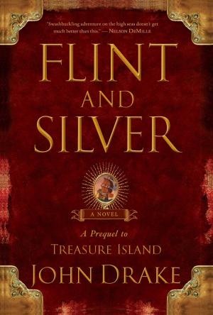Cover of the book Flint and Silver by Frank Wacholtz