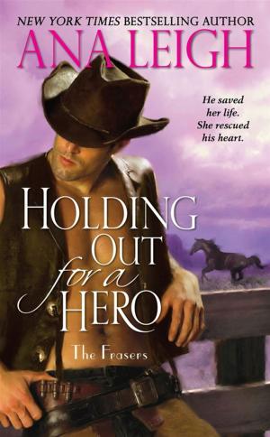 Cover of the book Holding Out for a Hero by Max Allan Collins