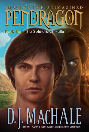 Cover of the book The Soldiers of Halla by Helen Perelman