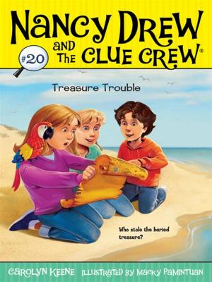 Cover of the book Treasure Trouble by Franklin W. Dixon