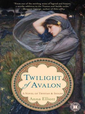 Book cover of Twilight of Avalon