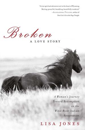 Cover of the book Broken by Lori Ostlund