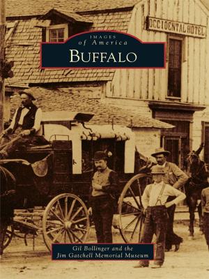 Cover of the book Buffalo by Lisa LaMonica