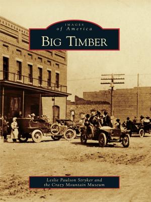 Cover of the book Big Timber by Mike Schaadt, Ed Mastro, Cabrillo Marine Aquarium