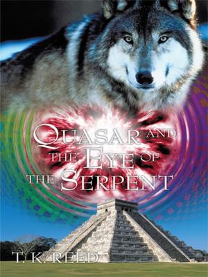 Cover of the book Quasar and the Eye of the Serpent by Geraldine Ashe