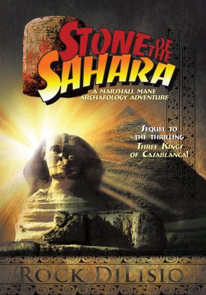Cover of the book Stone of the Sahara by Sedem Agbemafle