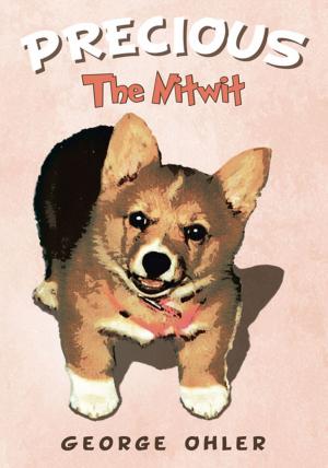 Cover of the book Precious - the Nitwit by Michelle Matthews