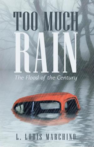 Cover of the book Too Much Rain by Jennifer Wilkins