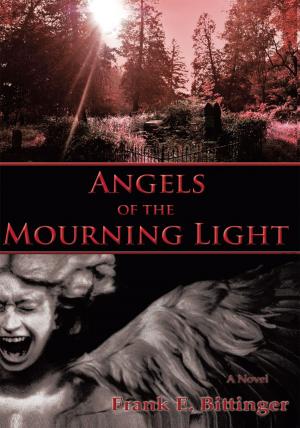 Book cover of Angels of the Mourning Light