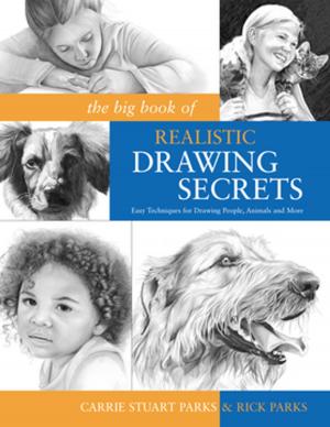 Cover of the book The Big Book of Realistic Drawing Secrets by Carole Rodgers