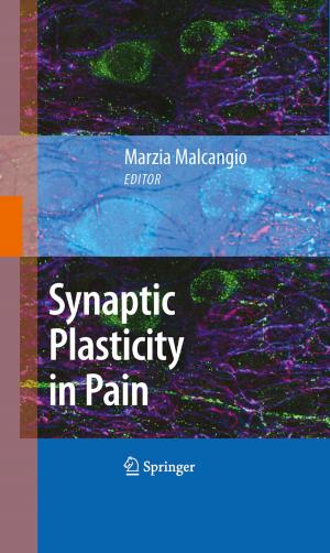 Cover of the book Synaptic Plasticity in Pain by Ingvar Lindgren