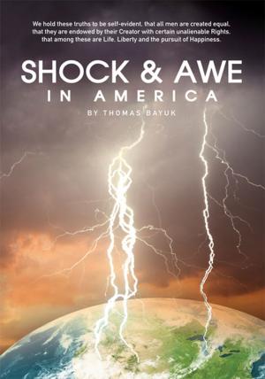 Cover of the book Shock & Awe in America by John Burbridge