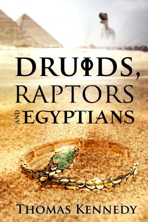 Book cover of Druids, Raptors and Egyptians