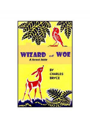 Cover of the book The Wizard of Woe by John Ivor