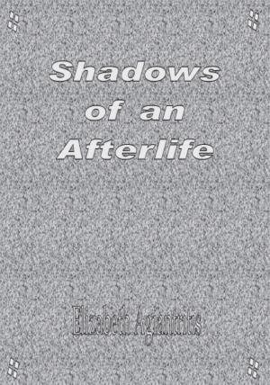 Book cover of Shadows of an Afterlife