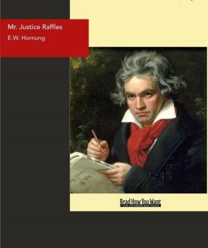 Cover of the book Mr. Justice Raffles by Onerheim, Mayuri