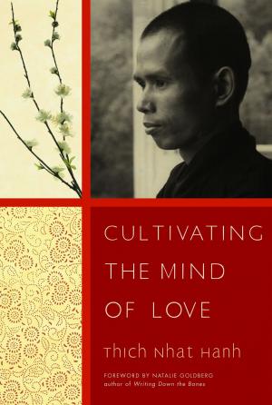 bigCover of the book Cultivating the Mind of Love by 