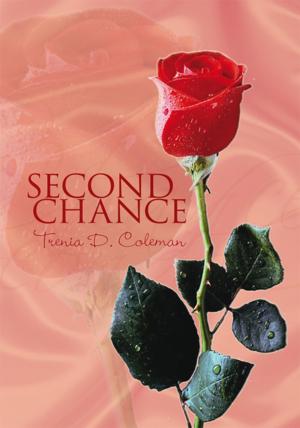 Cover of the book Second Chance by Jonathan Cottam