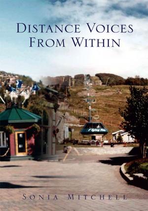 Cover of the book Distance Voices from Within by David L. Cain
