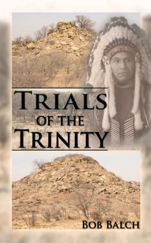Cover of the book Trials of the Trinity by Mitchell Nelson